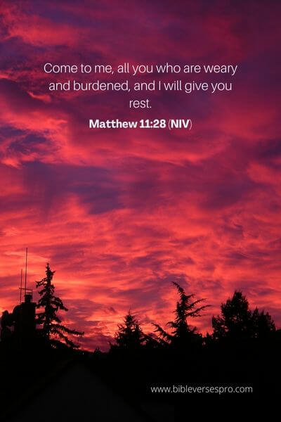 Matthew 11_28 (Niv)