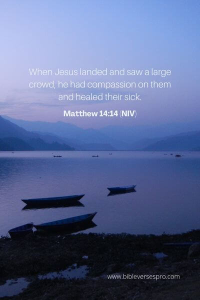 Matthew 14_14 (NIV)