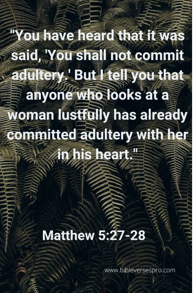 Matthew 5_27-28