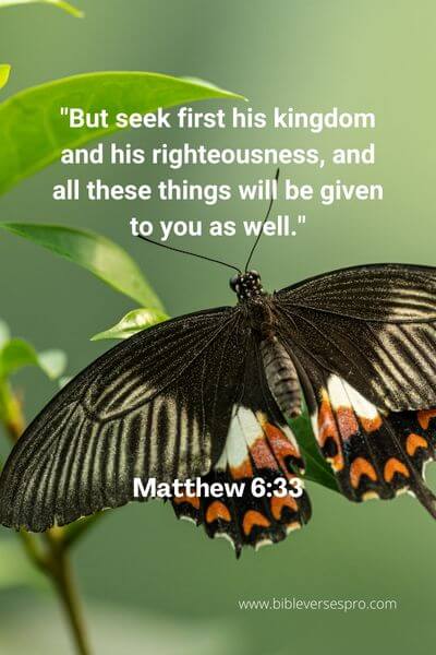 Matthew 6_33