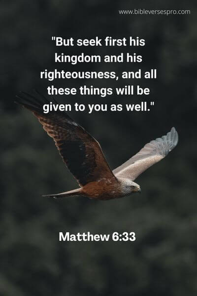 Matthew 6_33