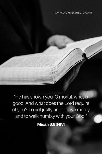 Micah 6_8 (NIV)