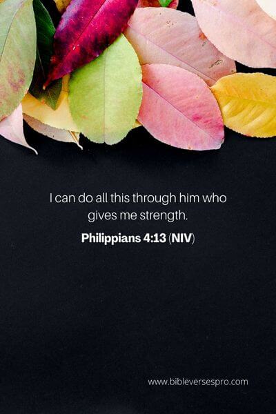 Philippians 4_13 (Niv)