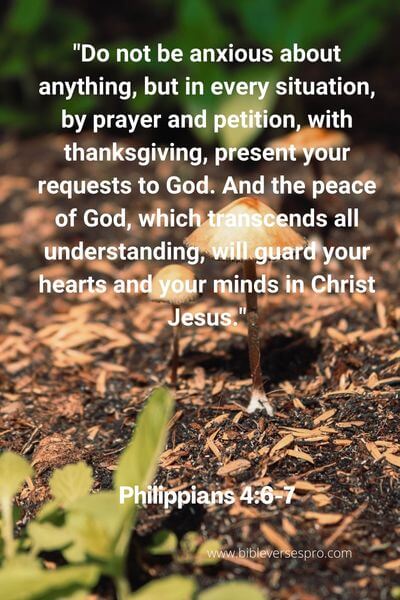 Philippians 4_6-7