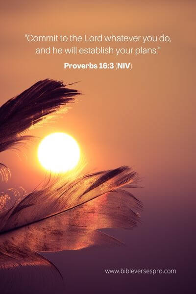 Proverbs 16_3 (NIV)