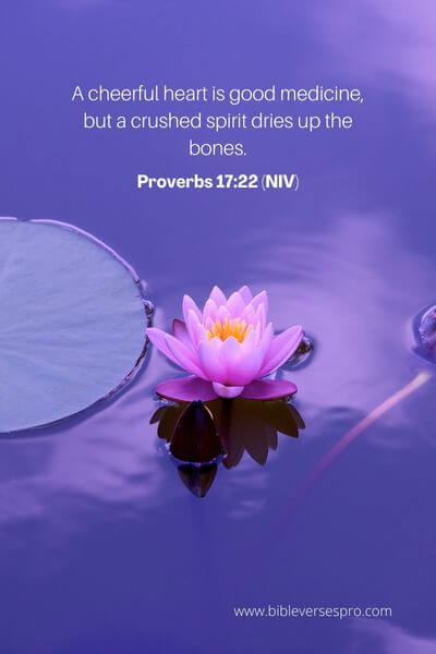 Proverbs 17_22 (NIV)