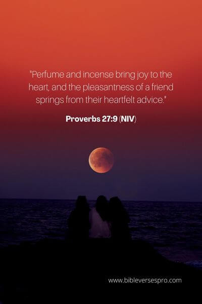 Proverbs 27_9 (Niv)