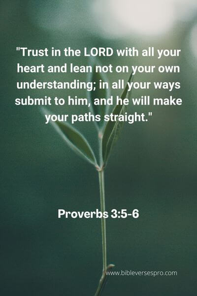 Proverbs 3_5-6