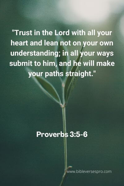 Proverbs 3_5-6