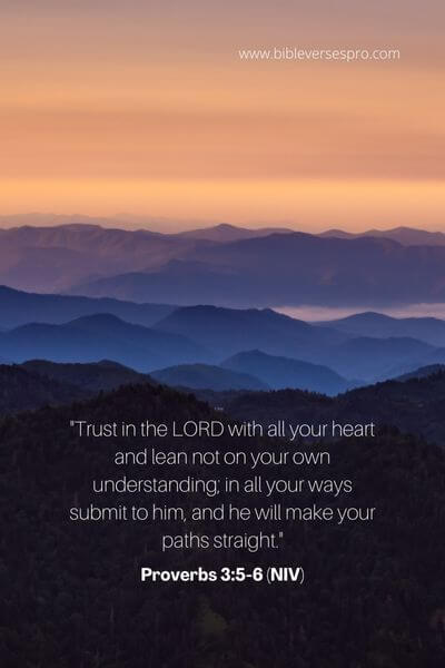 Proverbs 3_5-6 (Niv)