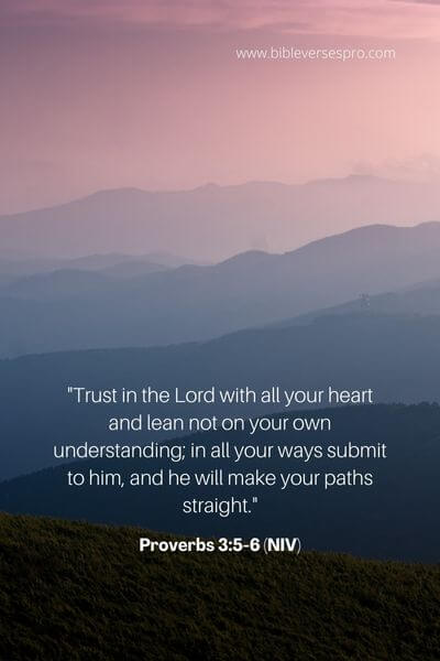 Proverbs 3_5-6 (NIV)