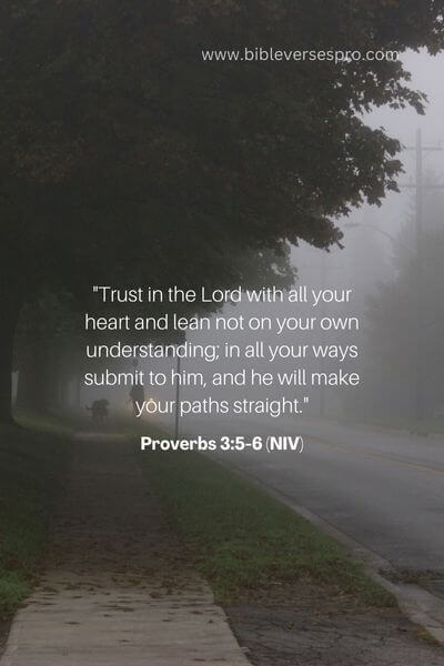Proverbs 3_5-6 (Niv)