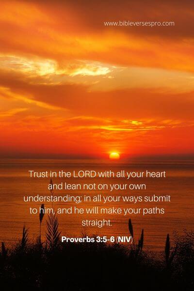Proverbs 3_5-6 (Niv)