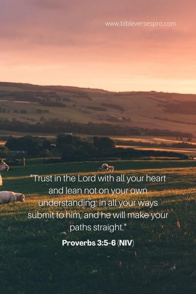 Proverbs 3_5-6 (NIV)