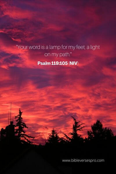 Psalm 119_105 (Niv)