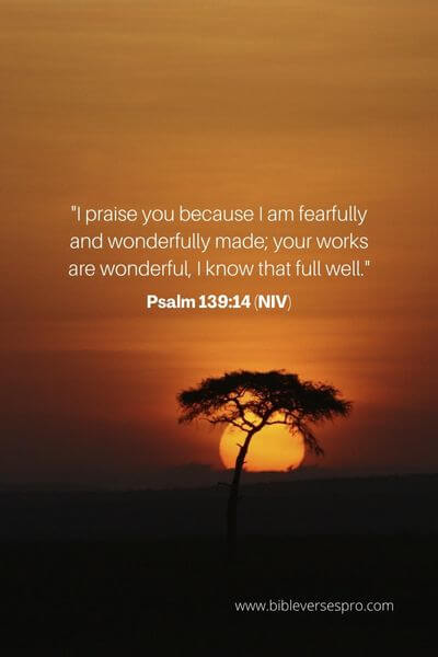Psalm 139_14 (Niv)