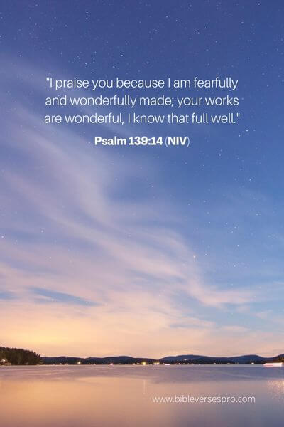 Psalm 139_14 (Niv)