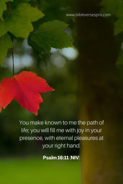 Psalm 16_11 (Niv)