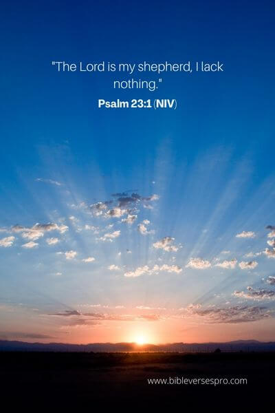 Psalm 23_1 (Niv)