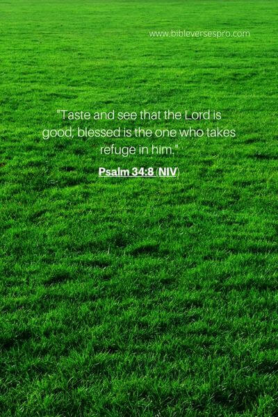 Psalm 34_8 (NIV)