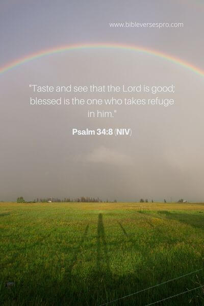 Psalm 34_8 (Niv)