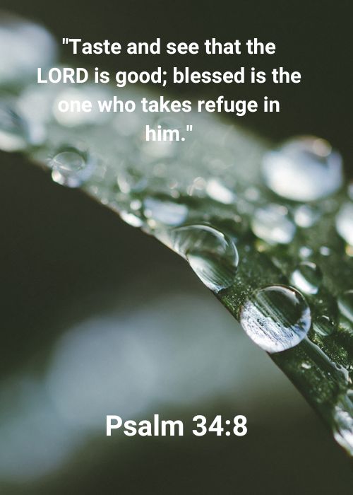 Psalm 34_8