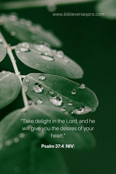 Psalm 37_4 (NIV)