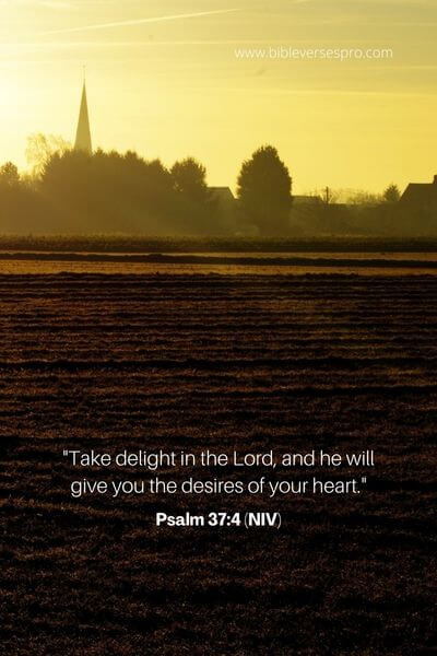 Psalm 37_4 (Niv)