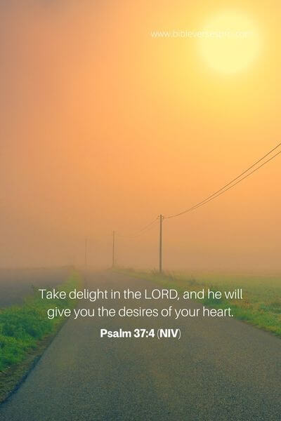 Psalm 37_4 (Niv)