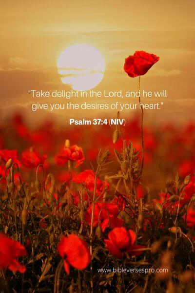 Psalm 37_4 (Niv)