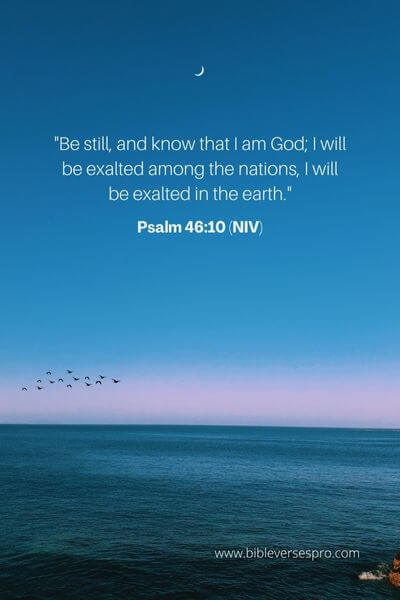 Psalm 46_10 (NIV)