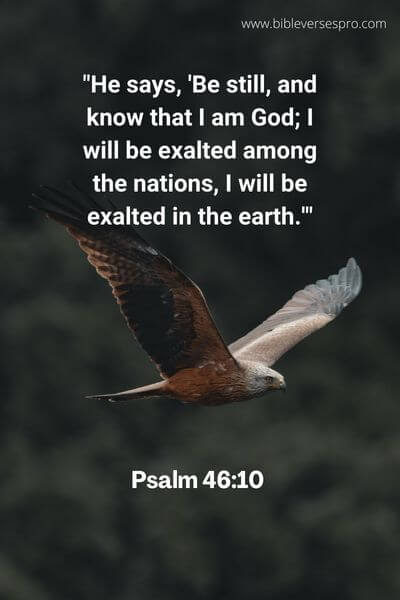 Psalm 46_10