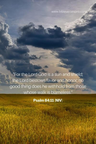 Psalm 84_11 (Niv)