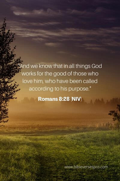 Romans 8_28 (Niv)