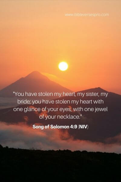 Song Of Solomon 4_9 (Niv)