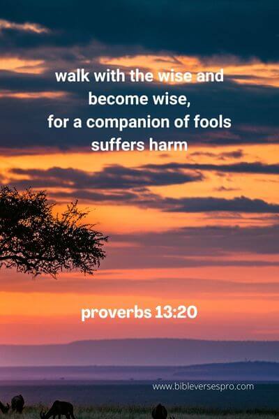 Proverbs 13_20