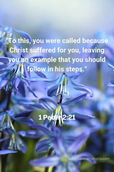 1 Peter 2_21