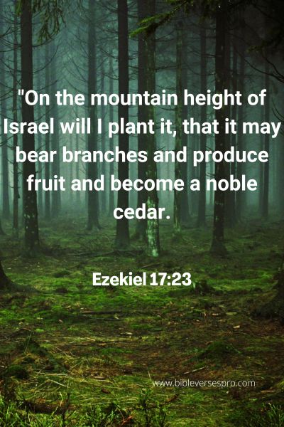 Bible Verse About Blossom