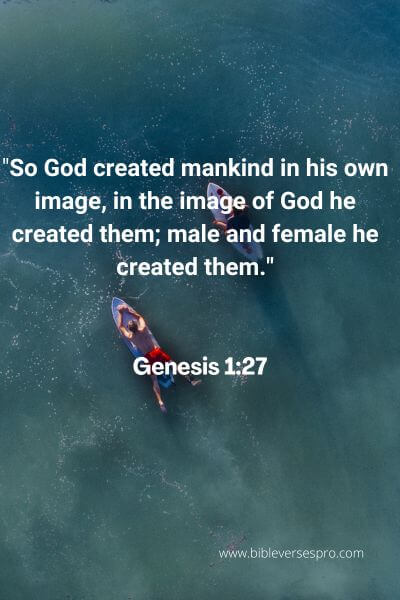 Genesis 1:27