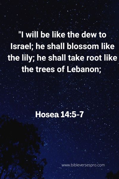 Bible Verse About Blossom