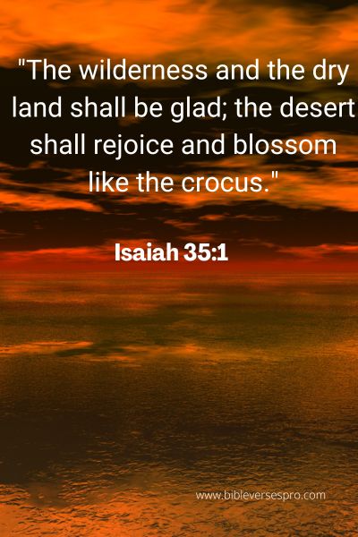 Bible Verse About Blossom