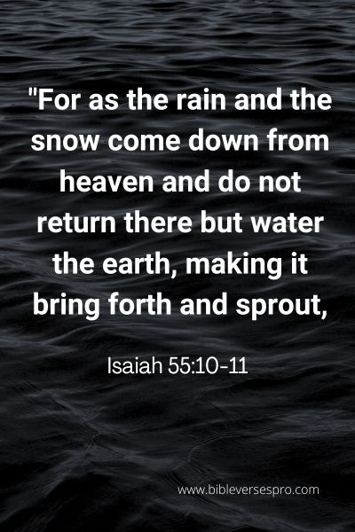 Bible Verse About Blossom