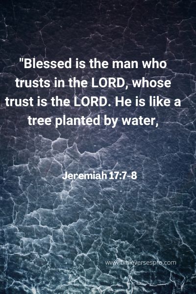 Bible Verse About Blossom