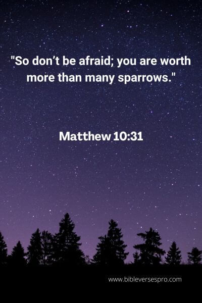 Matthew 10:31