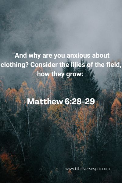 Bible Verse About Blossom