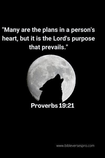 Proverbs 19:21