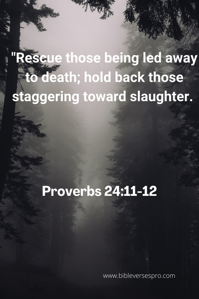 Bible Verse About Standing Up For What Is Right