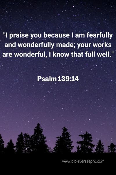 Psalm 139:14