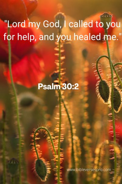 What Does The Bible Say About Autism