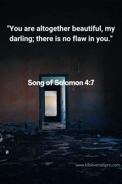 Song Of Solomon 4:7